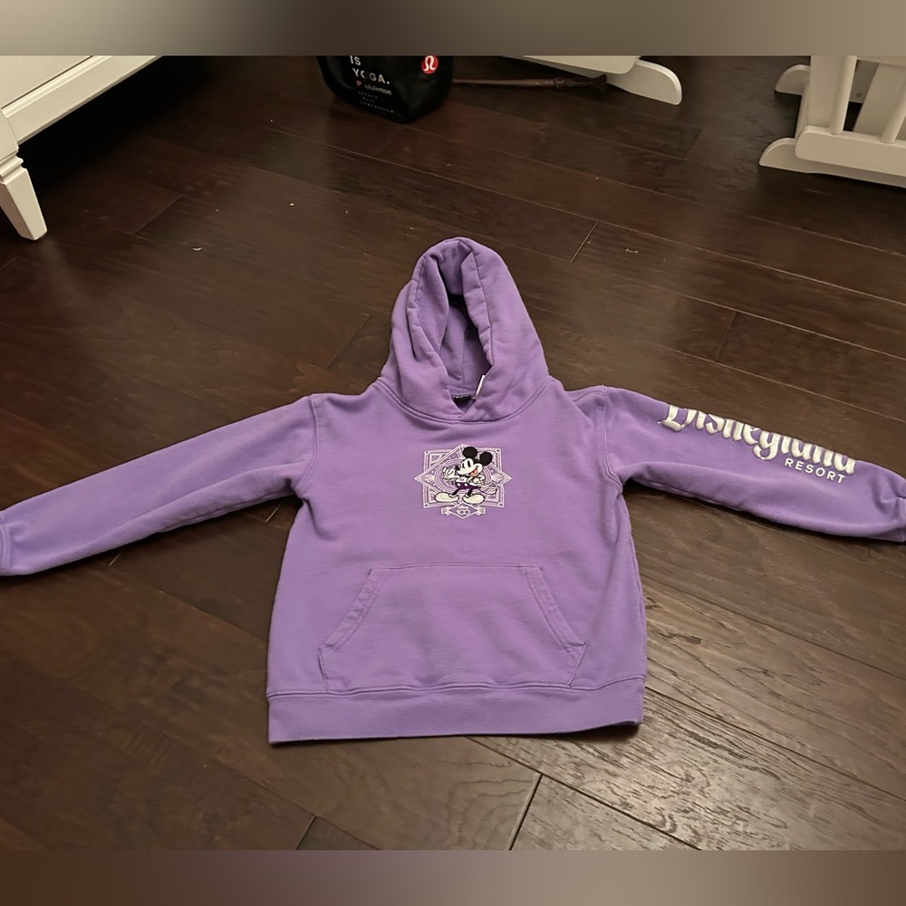 Girls 9/10 Disneyland Sweater